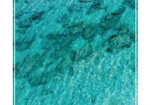 Grand Cayman Bioluminescence tour Explore Cayman 2018 by Cayman Parent issuu
