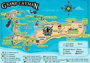 Grand Cayman Bioluminescence tour Find the Best Things to Do In Grand Cayman Interactive Map Of