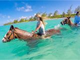 Grand Cayman Bioluminescence tour What It S Like to Ride Swimming Horses In Grand Cayman Cayman