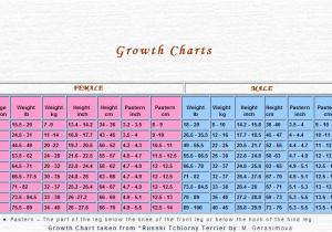 Great Pyrenees Growth Chart Black Russian Terrier History Open Site org