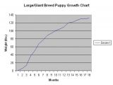 Great Pyrenees Growth Chart Newfoundland Dog Growth Chart Car Interior Design
