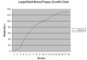 Great Pyrenees Growth Chart Newfoundland Dog Growth Chart Car Interior Design