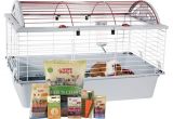 Guinea Pig Cage Store Coupon Living World Guinea Pig Starter Kit White Target