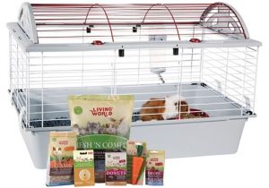 Guinea Pig Cage Store Coupon Living World Guinea Pig Starter Kit White Target