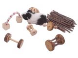 Guinea Pig Chew toys Amazon Amazon Com Guinea Pig toys Chinchilla Hamster Rat Chews toys Bunny