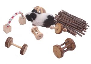 Guinea Pig Chew toys Amazon Amazon Com Guinea Pig toys Chinchilla Hamster Rat Chews toys Bunny