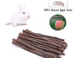 Guinea Pig Chew toys Amazon Amazon Com Guinea Pig toys Chinchilla Hamster Rat Chews toys Bunny