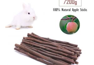 Guinea Pig Chew toys Amazon Amazon Com Guinea Pig toys Chinchilla Hamster Rat Chews toys Bunny