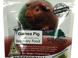 Guinea Pig Chew toys Amazon Amazon Com Sherwood Pet Health Recovery Food for Guinea Pigs Sarx