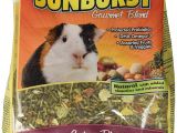 Guinea Pig soft toy Amazon Amazon Com Higgins Sunburst Gourmet Food Mix for Guinea Pigs 3