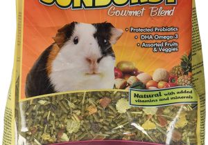 Guinea Pig soft toy Amazon Amazon Com Higgins Sunburst Gourmet Food Mix for Guinea Pigs 3