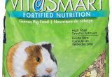 Guinea Pig soft toy Amazon Amazon Com Vitakraft Guinea Pig Food High Fiber Timothy formula 1