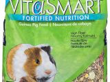 Guinea Pig soft toy Amazon Amazon Com Vitakraft Guinea Pig Food High Fiber Timothy formula 1