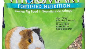 Guinea Pig soft toy Amazon Amazon Com Vitakraft Guinea Pig Food High Fiber Timothy formula 1