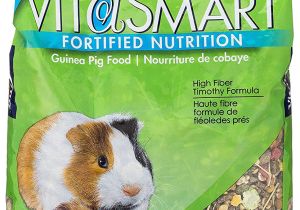Guinea Pig soft toy Amazon Amazon Com Vitakraft Guinea Pig Food High Fiber Timothy formula 1