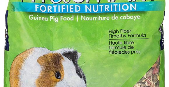 Guinea Pig soft toy Amazon Amazon Com Vitakraft Guinea Pig Food High Fiber Timothy formula 1