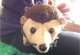 Guinea Pig soft toy Amazon My Spikes Can Hurt Watch Out Stuffed Animals Pinterest