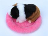 Guinea Pig soft toy Amazon Vmree Pet House Bed Guinea Pig Bed Winter Small Animal Cage Mat
