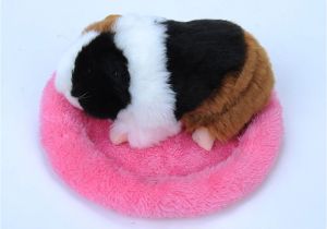 Guinea Pig soft toy Amazon Vmree Pet House Bed Guinea Pig Bed Winter Small Animal Cage Mat