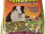 Guinea Pig toys Amazon Amazon Com Higgins Sunburst Gourmet Food Mix for Guinea Pigs 3