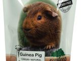 Guinea Pig toys Amazon Amazon Com Recovery Food for Guinea Pigs Sarx by Sherwood Pet