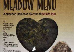 Guinea Pig toys Amazon Amazon Com Rosewood Pet Meadow Menu Guinea Pig Food 1 Case 4 4