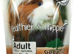 Guinea Pig toys Amazon Amazon Com Sherwood Pet Health Guinea Pig Food Adult 4 5 Lb