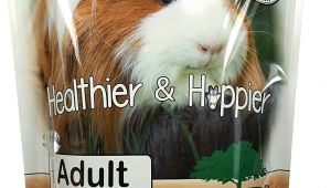 Guinea Pig toys Amazon Amazon Com Sherwood Pet Health Guinea Pig Food Adult 4 5 Lb