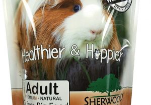 Guinea Pig toys Amazon Amazon Com Sherwood Pet Health Guinea Pig Food Adult 4 5 Lb