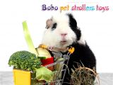 Guinea Pig toys Amazon Rlley Mini Shopping Carts toy Hamster toy Hedgehog toys Chinchilla