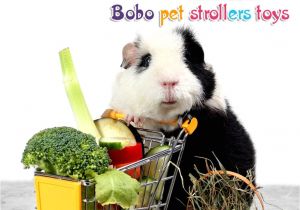 Guinea Pig toys Amazon Rlley Mini Shopping Carts toy Hamster toy Hedgehog toys Chinchilla
