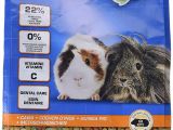 Guinea Pig toys Amazon Uk Beaphar Care Guinea Pig Food 10kg Amazon Co Uk Pet Supplies