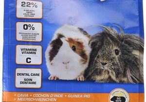 Guinea Pig toys Amazon Uk Beaphar Care Guinea Pig Food 10kg Amazon Co Uk Pet Supplies