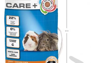 Guinea Pig toys Amazon Uk Beaphar Care Guinea Pig Food 10kg Amazon Co Uk Pet Supplies