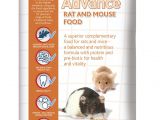 Guinea Pig toys Amazon Uk Mr Johnson S Advance Rat and Mouse Food 750 G Amazon Co Uk Pet