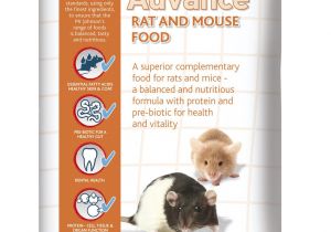 Guinea Pig toys Amazon Uk Mr Johnson S Advance Rat and Mouse Food 750 G Amazon Co Uk Pet