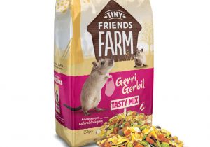 Guinea Pig toys Amazon Uk Supreme Gerri Gerbil Food 850gm Amazon Co Uk Pet Supplies