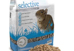 Guinea Pig toys Amazon Uk Supreme Petfoods Science Selective Degu 1 5 Kg Amazon Co Uk Pet