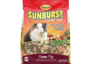 Guinea Pig toys On Amazon Amazon Com Higgins Sunburst Gourmet Food Mix for Guinea Pigs 3