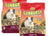 Guinea Pig toys On Amazon Amazon Com Higgins Sunburst Gourmet Food Mix for Guinea Pigs 3