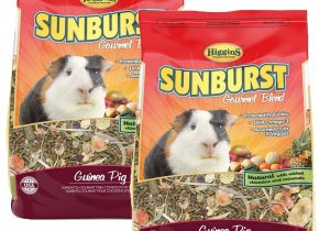 Guinea Pig toys On Amazon Amazon Com Higgins Sunburst Gourmet Food Mix for Guinea Pigs 3