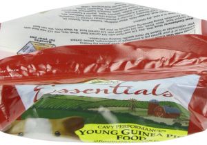 Guinea Pig toys On Amazon Amazon Com Oxbow Animal Health Essentials Young Guinea Pig Food