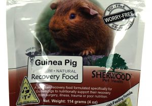 Guinea Pig toys On Amazon Amazon Com Sherwood Pet Health Recovery Food for Guinea Pigs Sarx