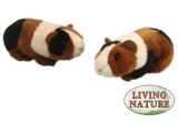 Guinea Pig toys On Amazon Small Guinea Pig soft toy Check Out This Great Product This is