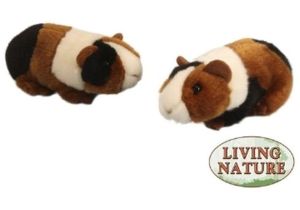 Guinea Pig toys On Amazon Small Guinea Pig soft toy Check Out This Great Product This is
