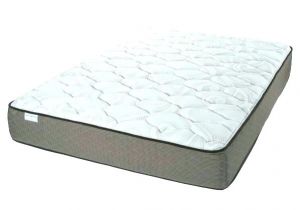 Hampton and Rhodes Hr340 Elegant Hampton Rhodes Mattress Mattress Hampton and