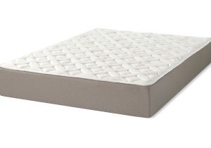 Hampton and Rhodes Hr420s 12.25 Plush Mattress Queen 57 Best Mattress Firm Images On Pinterest Plush