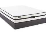 Hampton and Rhodes Limited Edition Queen Mattress Mattresses Beds Shop top Brands