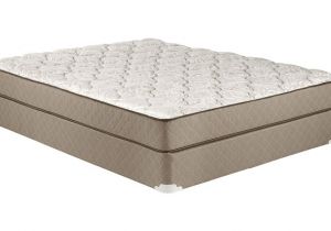 Hampton and Rhodes Pillow top Queen Mattress Hampton and Rhodes Hr300 9 Plush Mattress Review