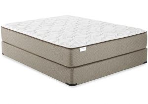 Hampton and Rhodes Pillow top Queen Mattress Shop Mattresses Mattress Firm